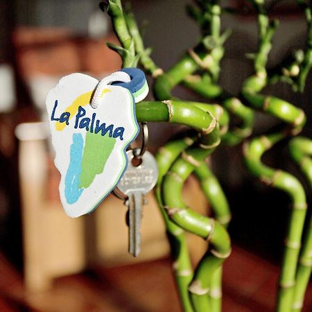 Casita Ariadna تيخارافي المظهر الخارجي الصورة